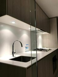 The Tembusu (D19), Condominium #511631481